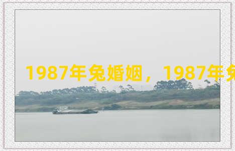 1987年兔婚姻，1987年兔婚姻如何