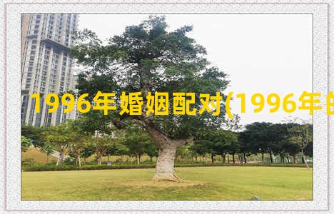 1996年婚姻配对(1996年的婚姻相配)