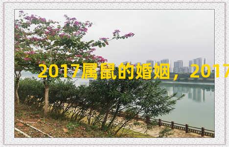 2017属鼠的婚姻，2017年属鼠