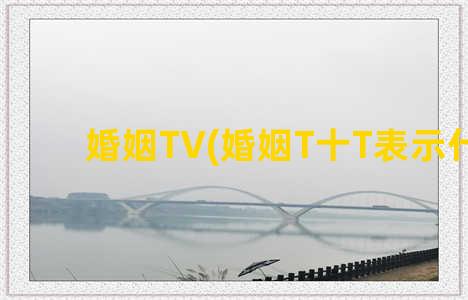 婚姻TV(婚姻T十T表示什么)