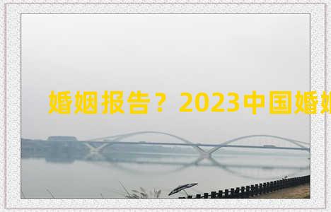 婚姻报告？2023中国婚姻报告