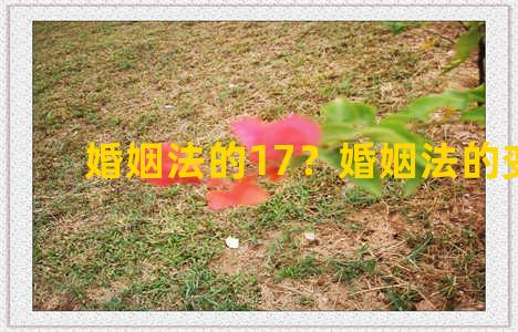 婚姻法的17？婚姻法的变化