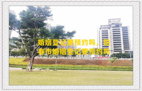 婚姻登记要预约吗，阳春市婚姻登记要预约吗