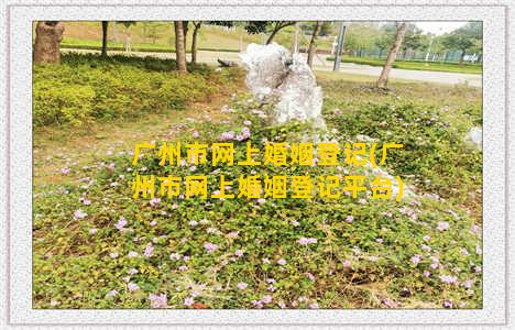 广州市网上婚姻登记(广州市网上婚姻登记平台)