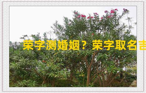 荣字测婚姻？荣字取名吉凶