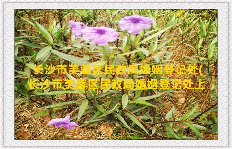 长沙市芙蓉区民政局婚姻登记处(长沙市芙蓉区民政局婚姻登记处上班时间)