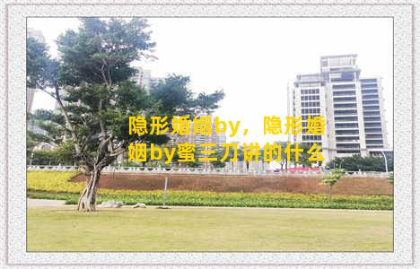 隐形婚姻by，隐形婚姻by蜜三刀讲的什么